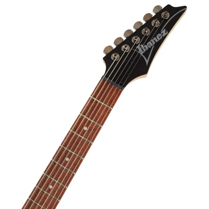 Ibanez 220672