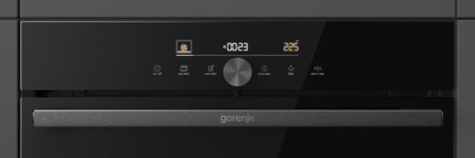 Gorenje 743493