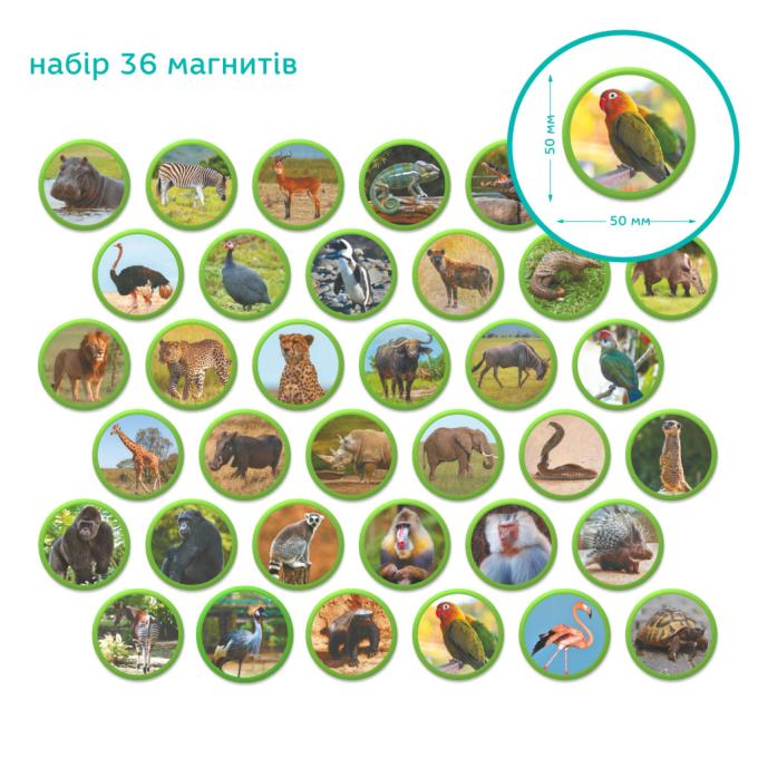 DoDo 200284