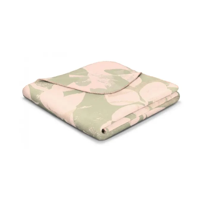 Billerbeck 807670