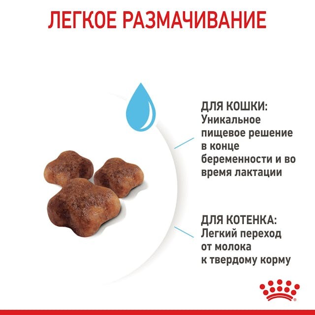 Royal Canin 2544004