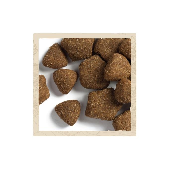 Purina Dog Chow 7613034485946