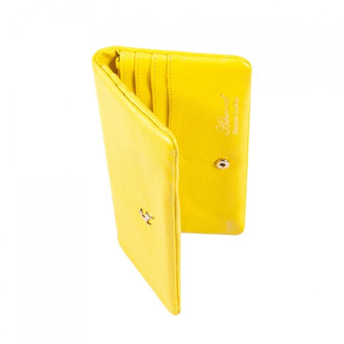 Ashwood J56 Aurora