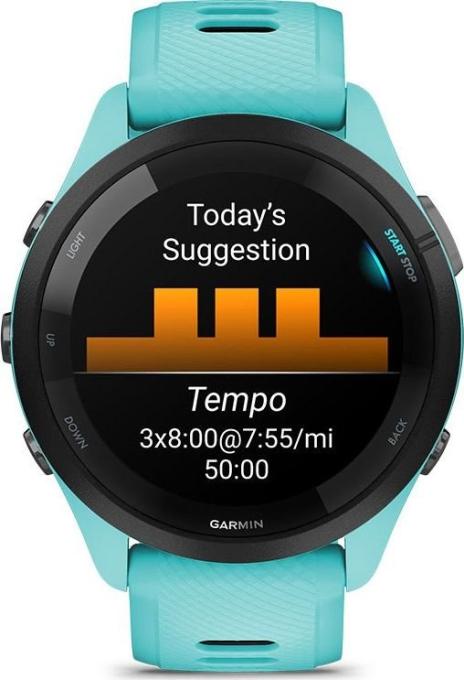 Garmin 010-02810-52