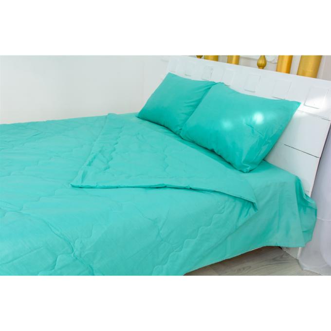 MirSon 2200003107081