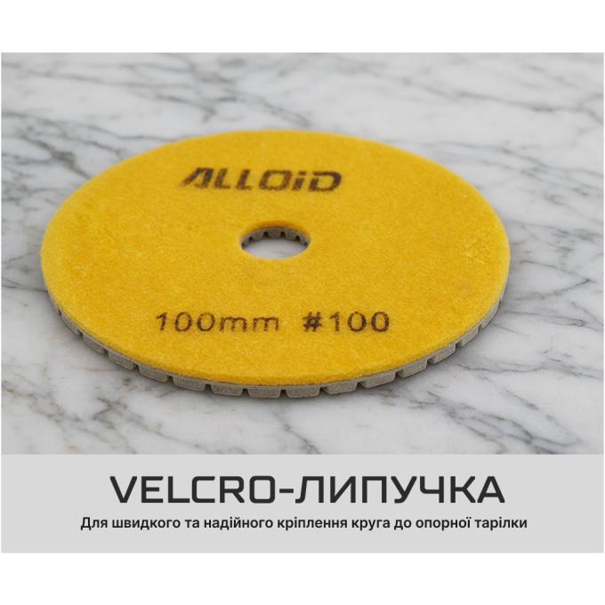 Alloid DD-63284
