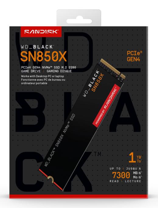 WD WDS100T2X0E