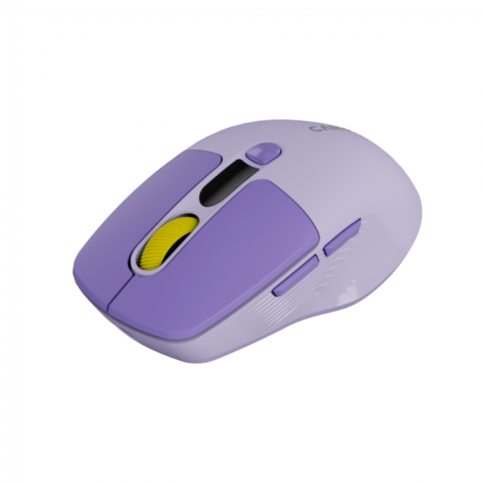 Canyon CNS-CMSW26V