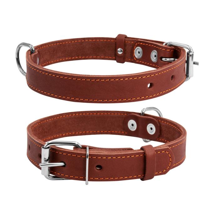 Collar 02736