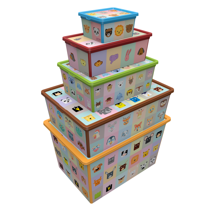 QUTU TREND BOX с/к LOOKING LEARNING 5