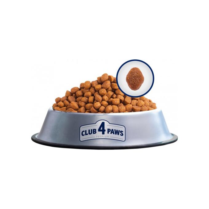 Club 4 Paws 4820083909412