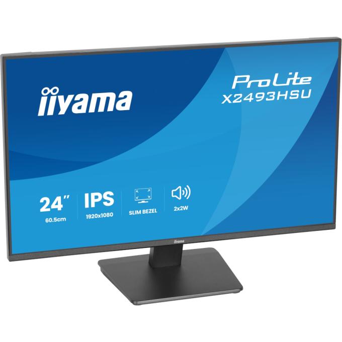 Iiyama X2493HSU-B1