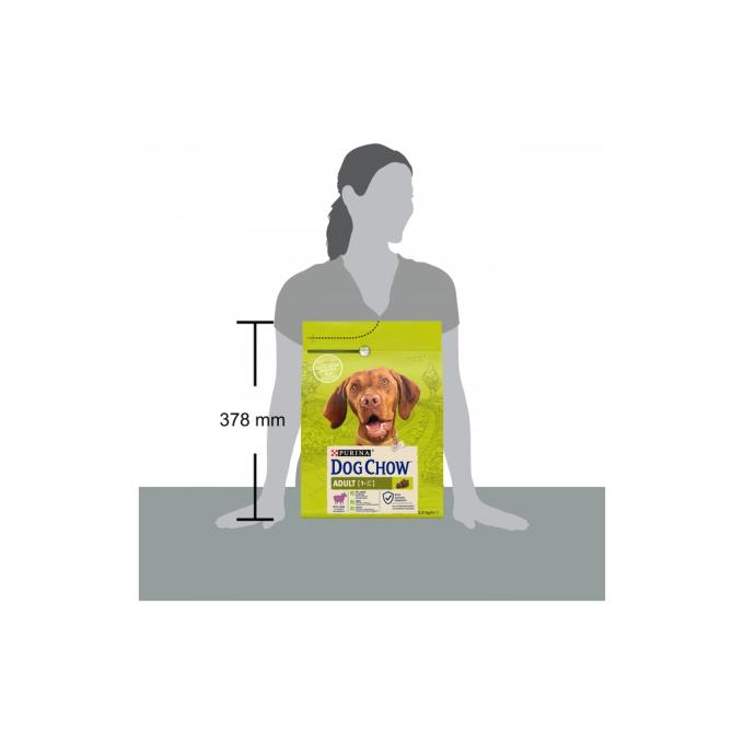 Purina Dog Chow 7613034485946