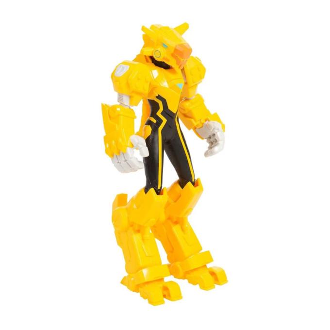 Dinoster EU580822