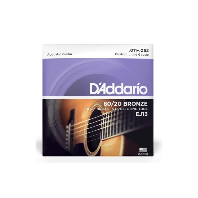 D'Addario EJ13