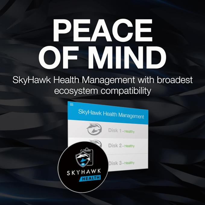 Seagate ST12000VE003