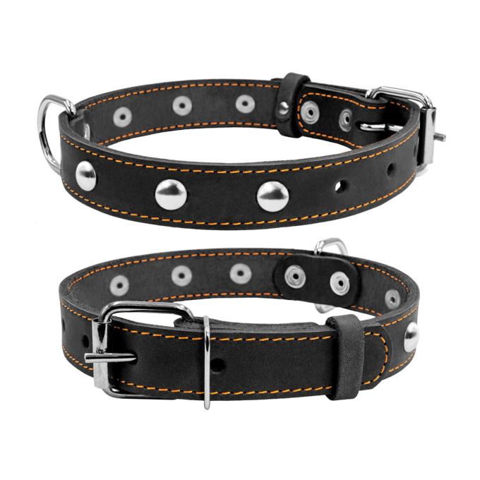 Collar 01351