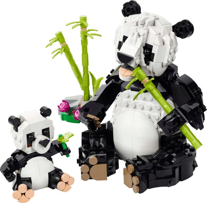 LEGO 31165