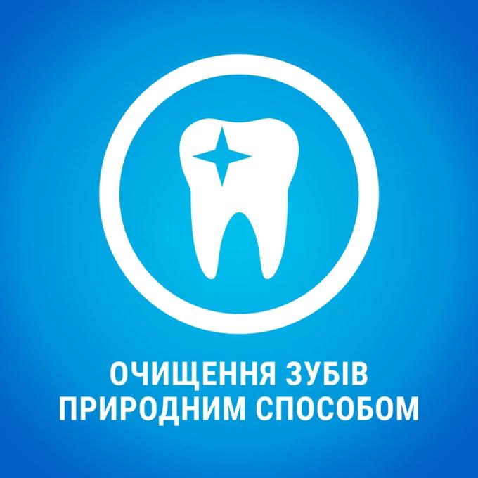 Purina DentaLife 7613035379817