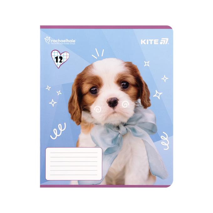 Kite R25-232