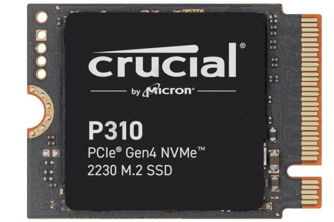 Crucial CT1000P310SSD2