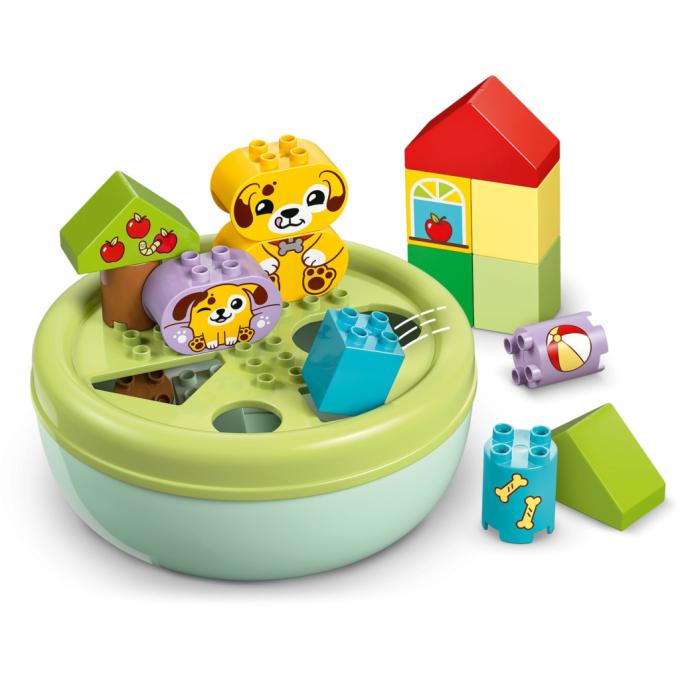 LEGO 10441