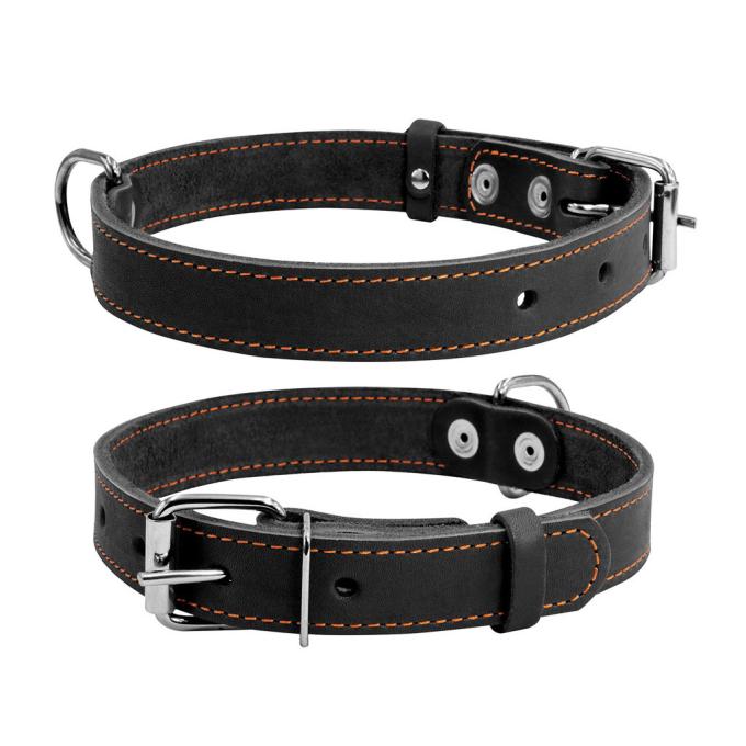 Collar 02731