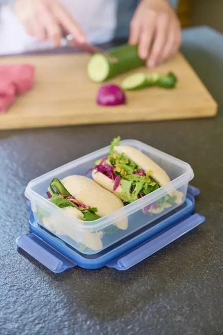 TEFAL C4250543