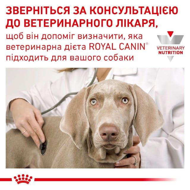 Royal Canin 40140301