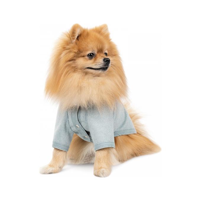 Pet Fashion 4823082434596