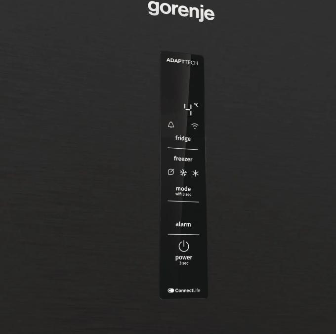 Gorenje NRB620E61BX4WFE