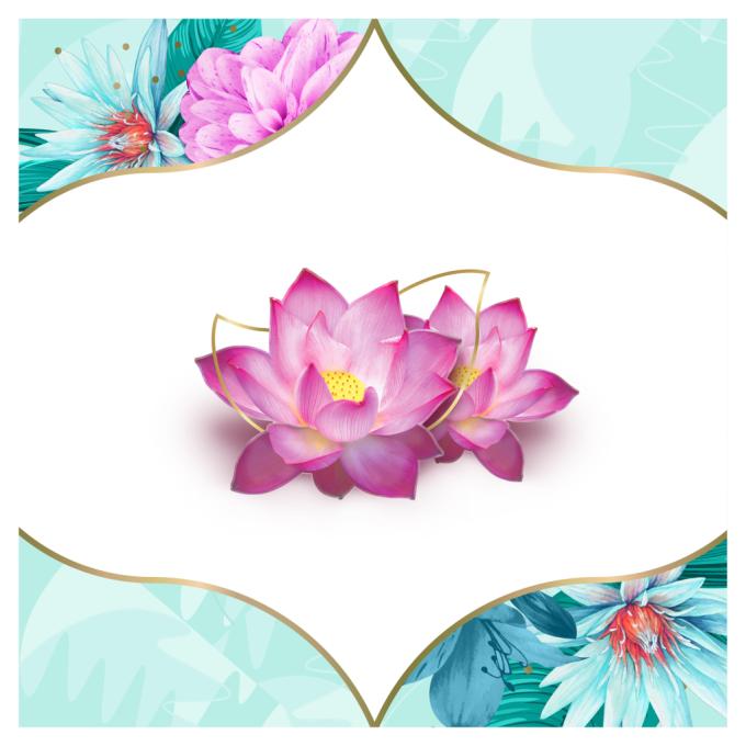 Discreet 8001090170354/8700216152983