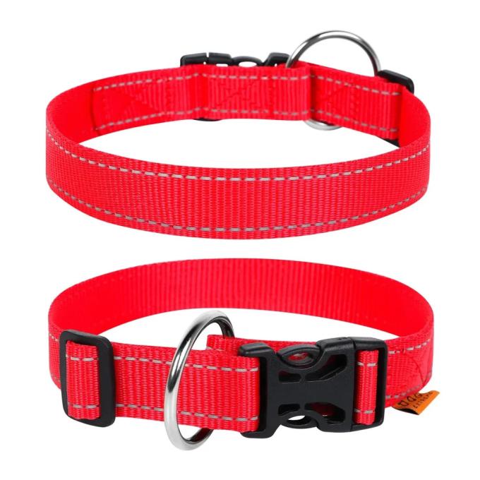 Collar 67013