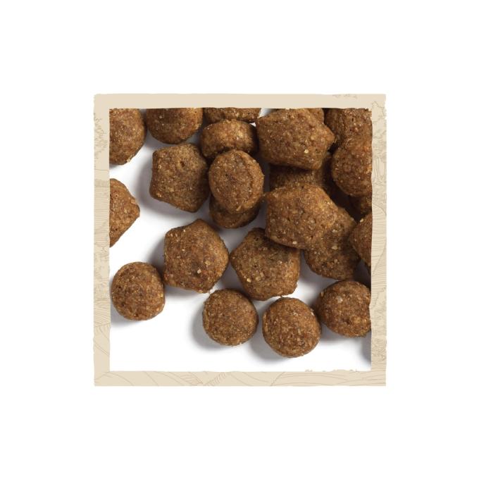 Purina Dog Chow 7613034488657