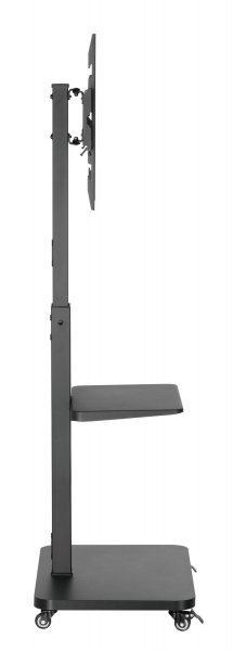 GEMBIRD TVS-75S-02