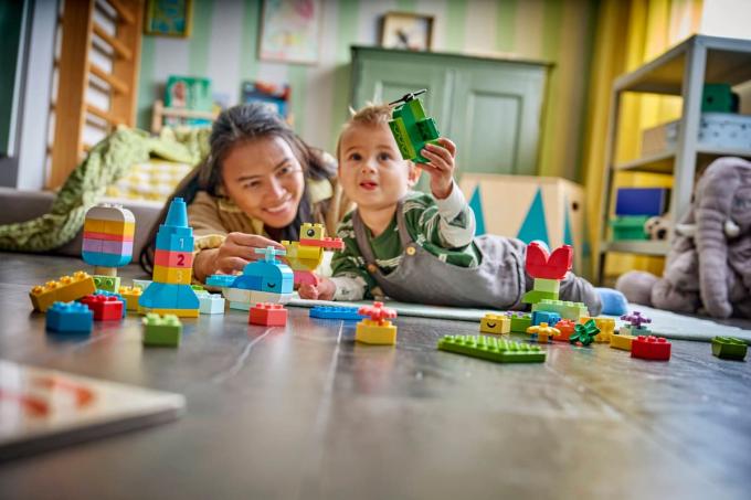 LEGO 10479