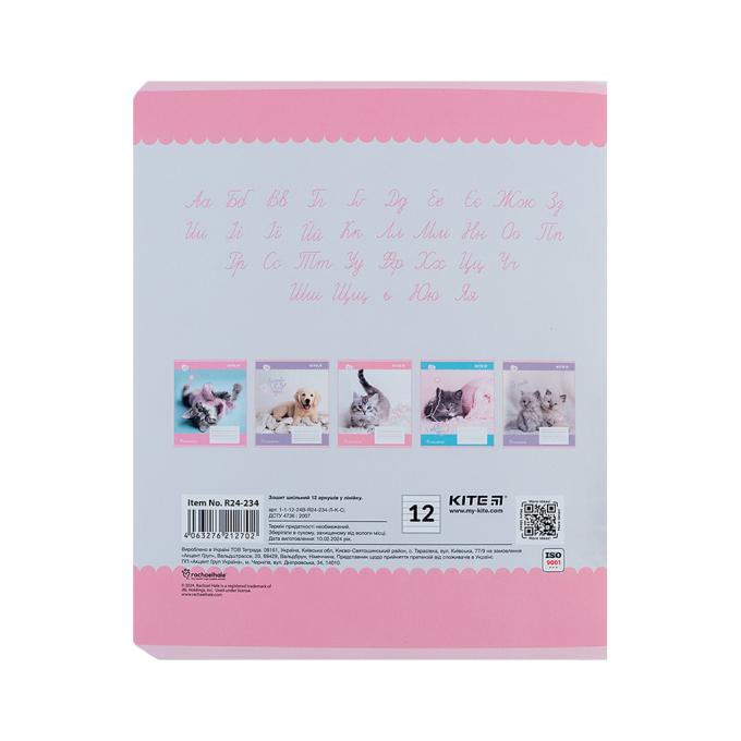 Kite R24-234