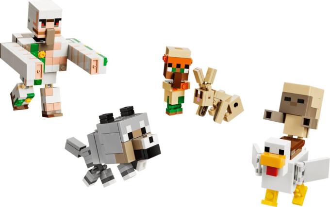 LEGO 21592