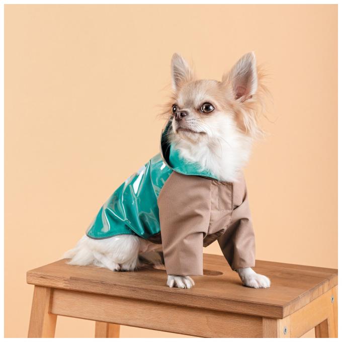 Pet Fashion 4823082434497