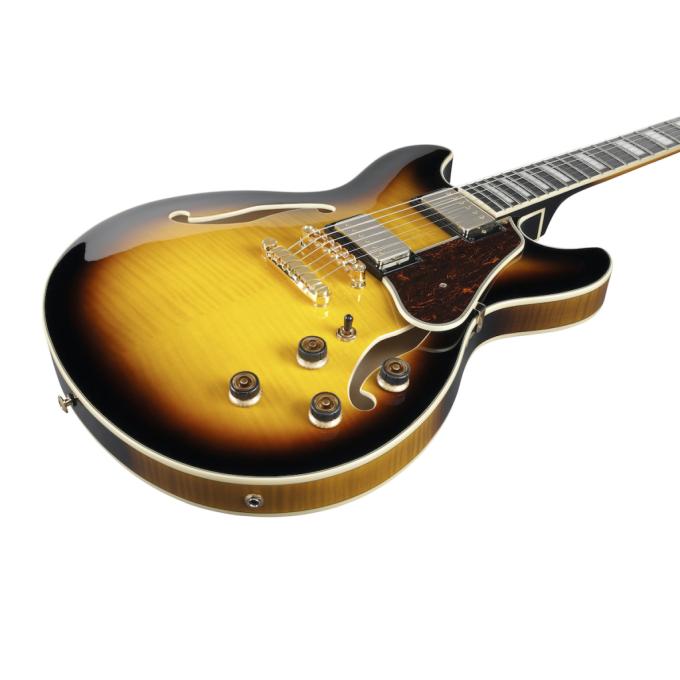 Ibanez 232548