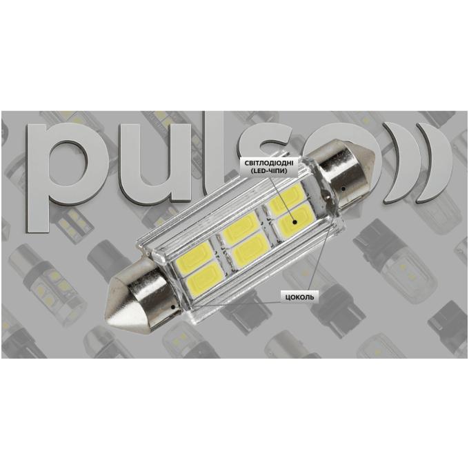 PULSO LP-62041
