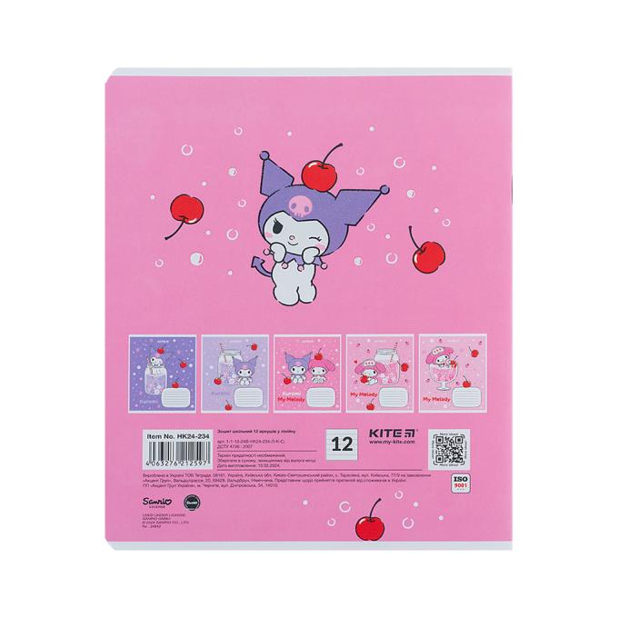 Kite HK24-234
