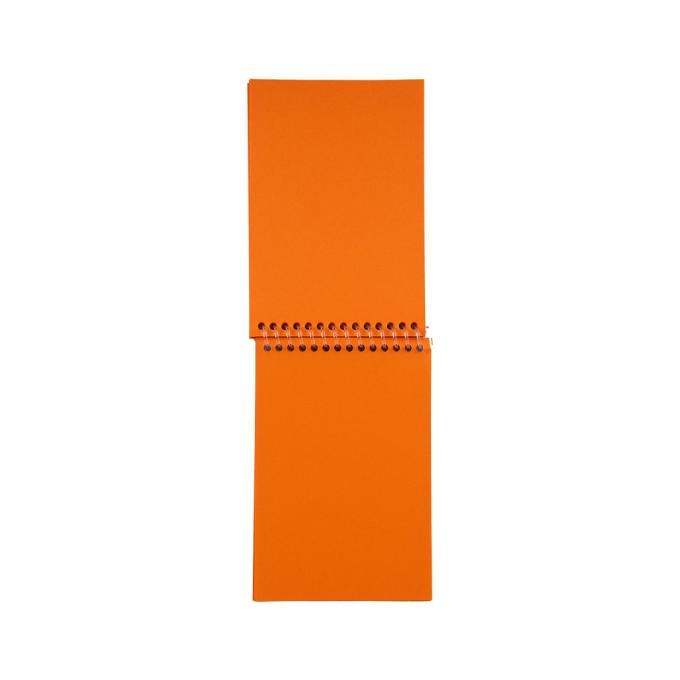 Kite NR23-196-2