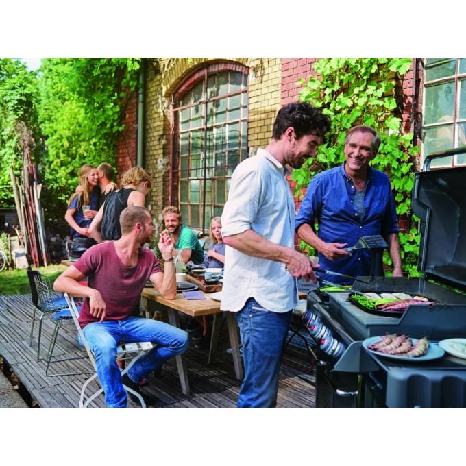Weber 17509