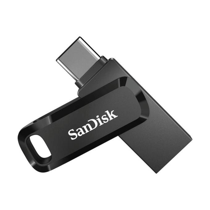 SANDISK SDDDC3-256G-G46