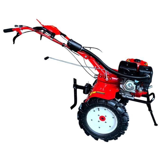 FORTE 135250