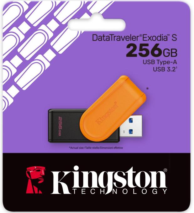 Kingston DTXS/256GB