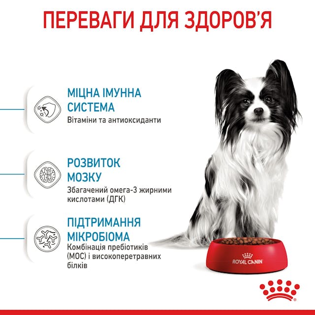 Royal Canin 10020051