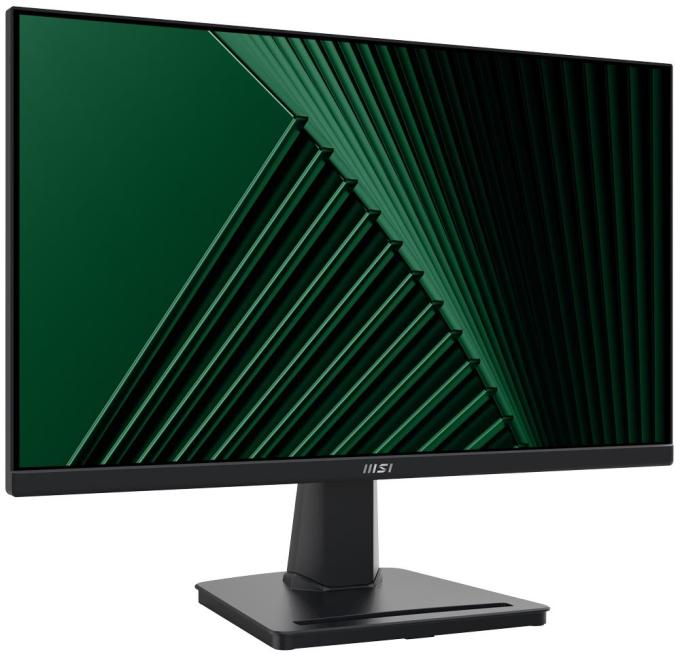 MSI Pro MP225V