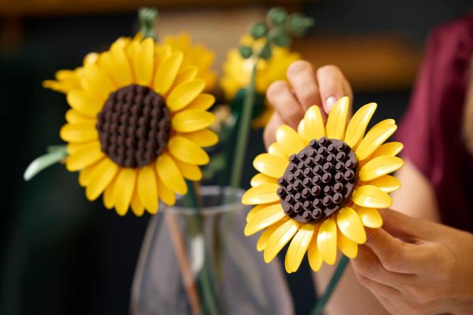 LEGO 11502